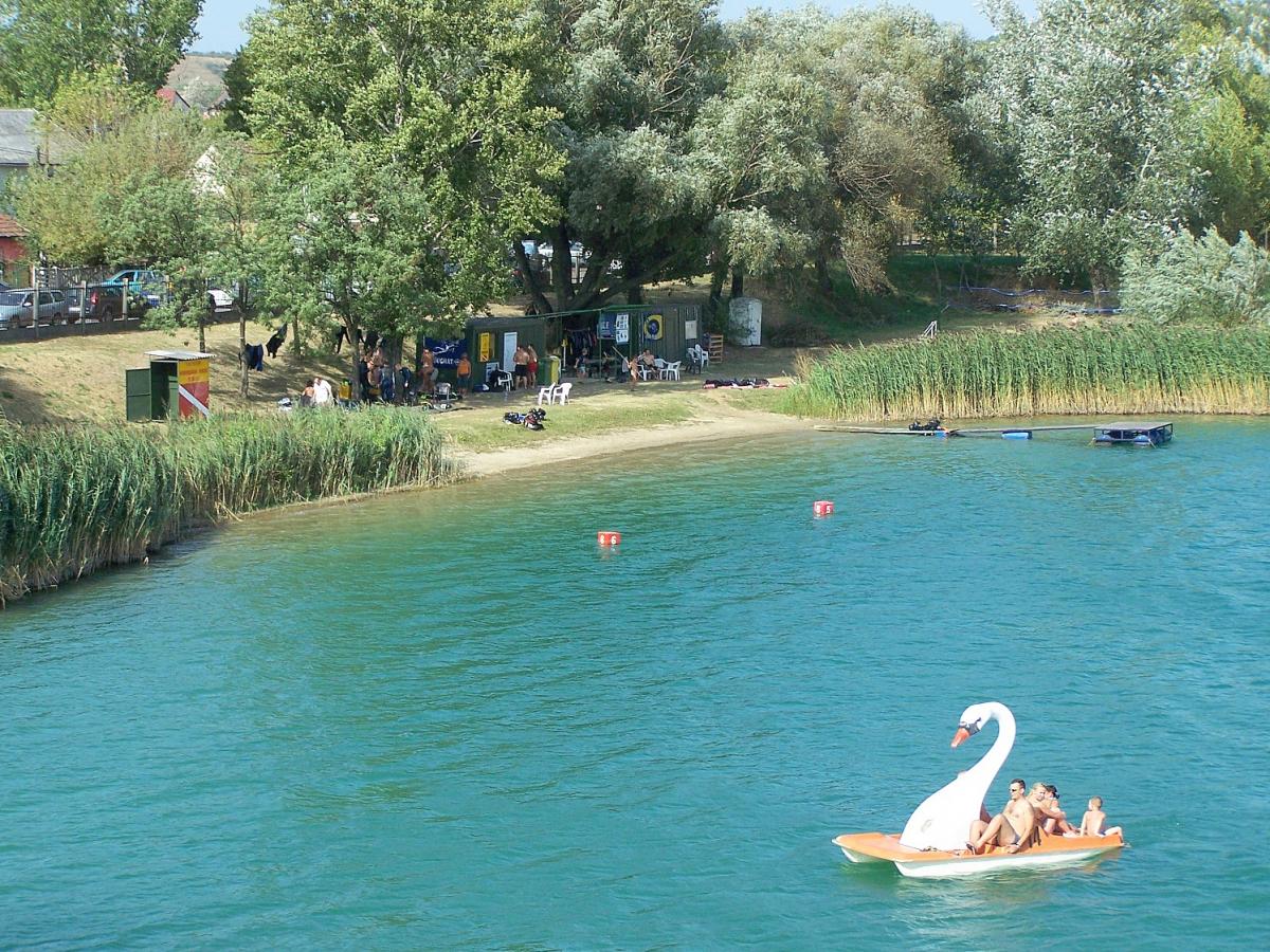 Dorog, Palatinus tó