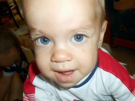 Micónapló - Eltelt egy év...