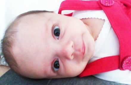 Olinapló - Hosszú éjszakák és huncut hajnalok