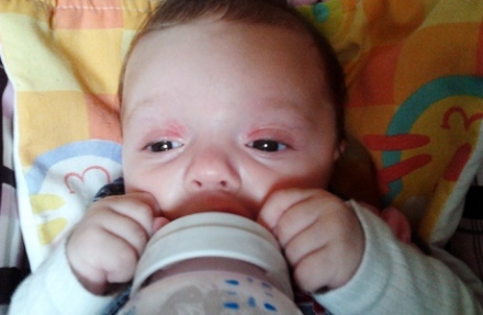 Olinapló - Hozzátáplálásra fel!