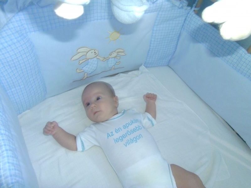 Mai törpmániás kép