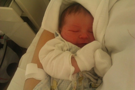 BRÉKING - Megszületett Koppány!