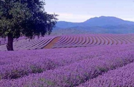 Hétvégi programajánló - Jön a legrövidebb éjszaka!