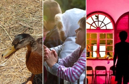 Hétvégi programajánló – Vizek partjára, család!