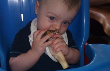 Koppi-napló – Sziszegve szocializálódás