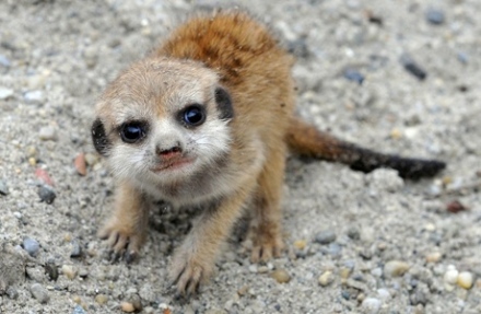 Hétvégi programajánló – Őszi kalandok kint, bent, fent