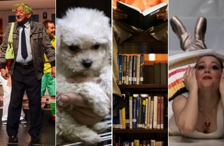 Hétvégi programajánló – Rövid hétvége, rengeteg lehetőség