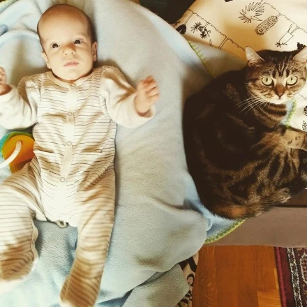 Papinapló 13. – Buborék, buborék, Mimóból jött ki az elébb