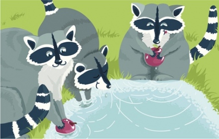 Környezetbarát, olcsó háztartási alapszerek – ezekre lesz szükséged