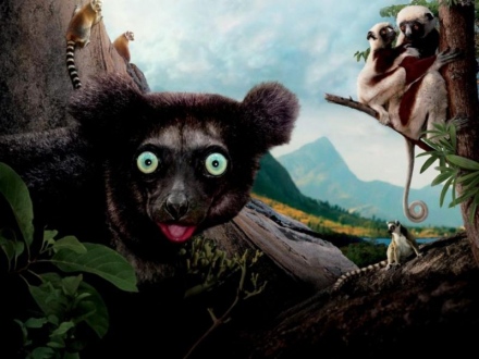 A makik szigete: Madagaszkár