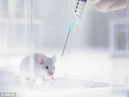 Kísérleti gyógyszer mentette meg a babát