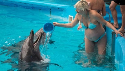 Szülj zseni gyereket delfinnel!