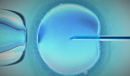 A megtermékenyítés módja és a baba neme