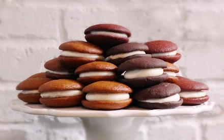 Süteménylicit koraszülöttekért