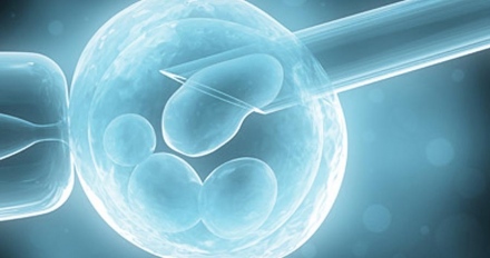 Lombikbébiért perelnek