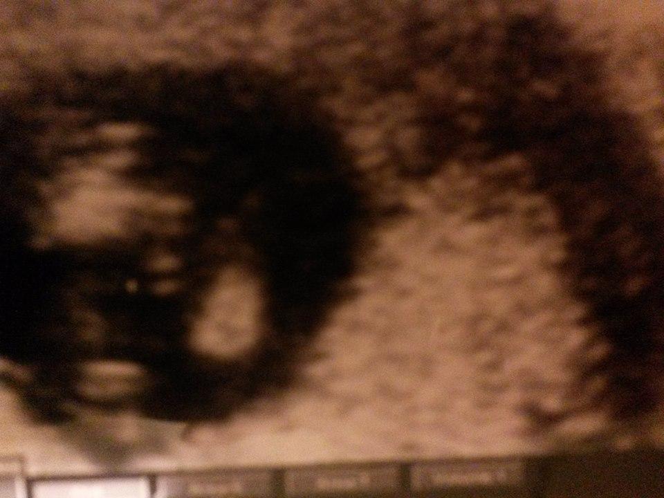 13 Hét UH - Neme? -