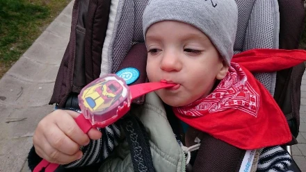 Papinapló 58. – Az óraátállítás a madarakat is megzavarja