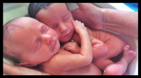 Csodálatos videó: újszülött ikrek fürdetéséről