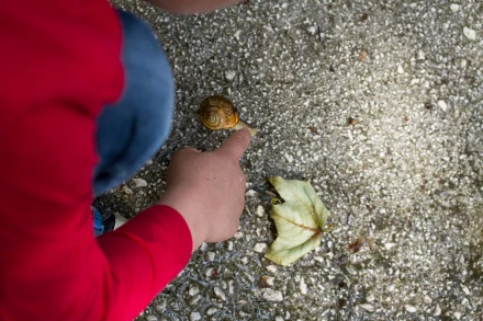 Lassíts, ha gyerekkel vagy!