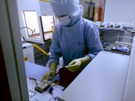 Az őssejtek áttörést hozhatnak az autizmus és a stroke kezelésében