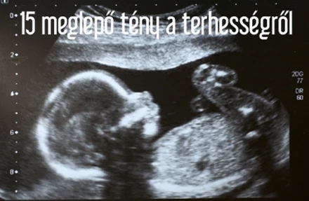 15 döbbenetes tény a terhességről!