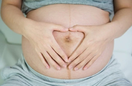 Sötét csík a pocakon