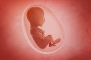 Ezért sírnak a babák az anyaméhben: 6 érdekesség a magzatról és a terhességről, amit sokan nem tudnak