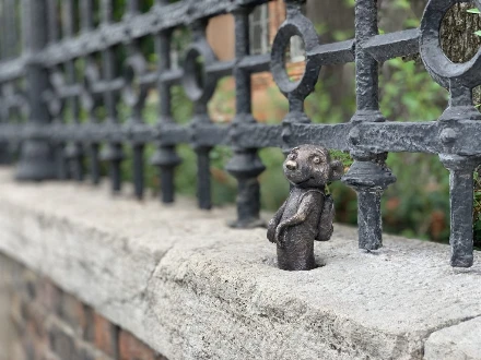 Kolodko szurikáta szobra a diabéteszes gyermekekért, gyermekeknek