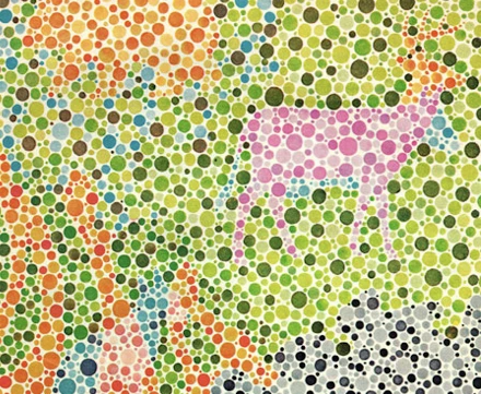 A 4 évesem azt a 4 állatot látja a képen, amit kell! És Te?