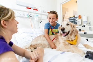Terápiás kutyákkal teszik gördülékenyebbé a betegek ellátását a Semmelweis Egyetemen
