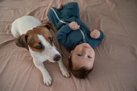 Így készítsd fel a kutyádat a babád érkezésére - 4 fontos lépés, amivel sokat segíthetsz neki!