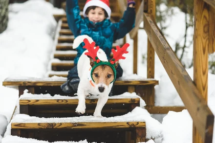 Kiskutyát kérek karácsonyra! – Két mesekönyv, amivel teljesülhet a kívánság