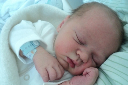 Micónapló - Az első két hét