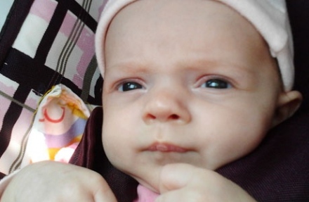 Oli-napló - Vissza a hétköznapokba