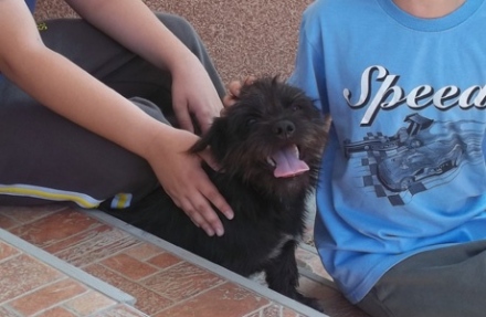 Előrehozott Karácsony