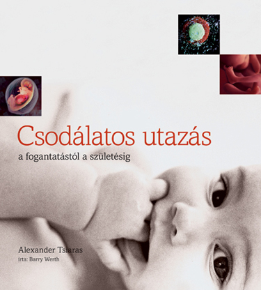 csodálatos utazás cikkbe 6