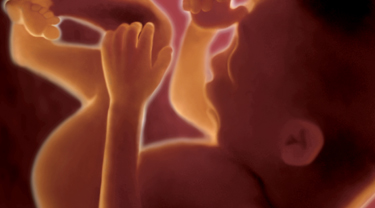 csodálatos utazás cikkbe 6