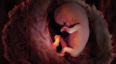 csodálatos utazás cikkbe 6