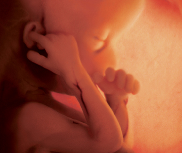 csodálatos utazás cikkbe 6