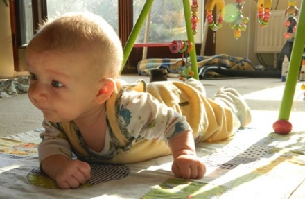 Babanapló 1. – Beindul a fejlődés