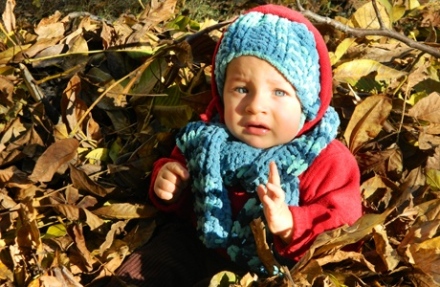 Csongor naplója – Megtáltosodott!