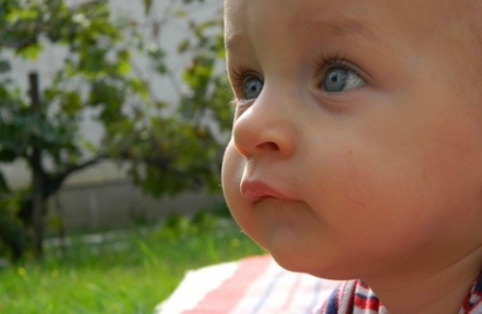 Csongor naplója - Kimerültes-panaszkodós