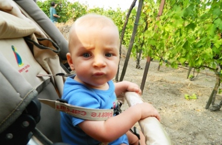 Csongor naplója - Élménymorzsák