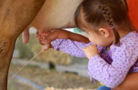 Kinőhető-e a táplálékallergia?