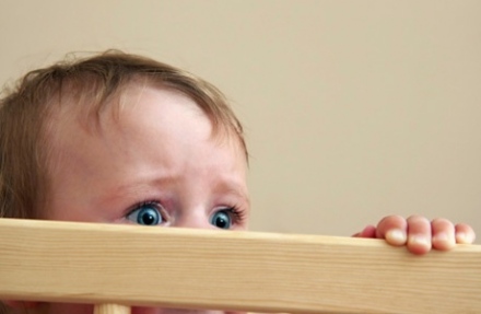 A félelmetes fokföldi ibolya