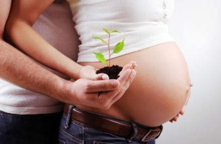 Az ivarsejt-donációból született gyermekek esete