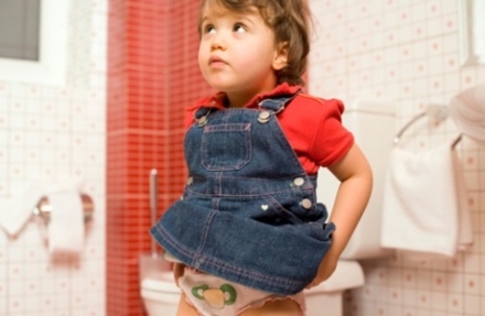 Szoktassuk-e szobatisztaságra?