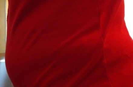 Terhesnapló 4. - Mimi pánikhangulatban